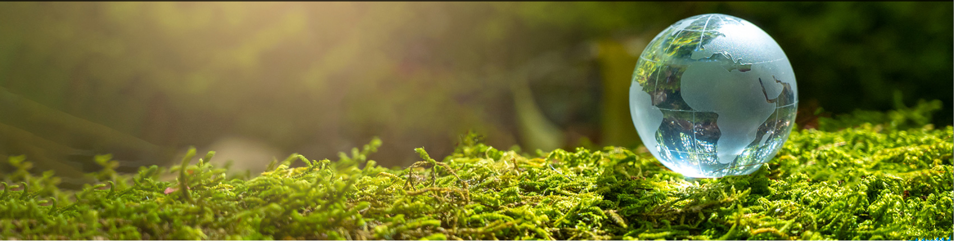 業(yè)務(wù)范圍